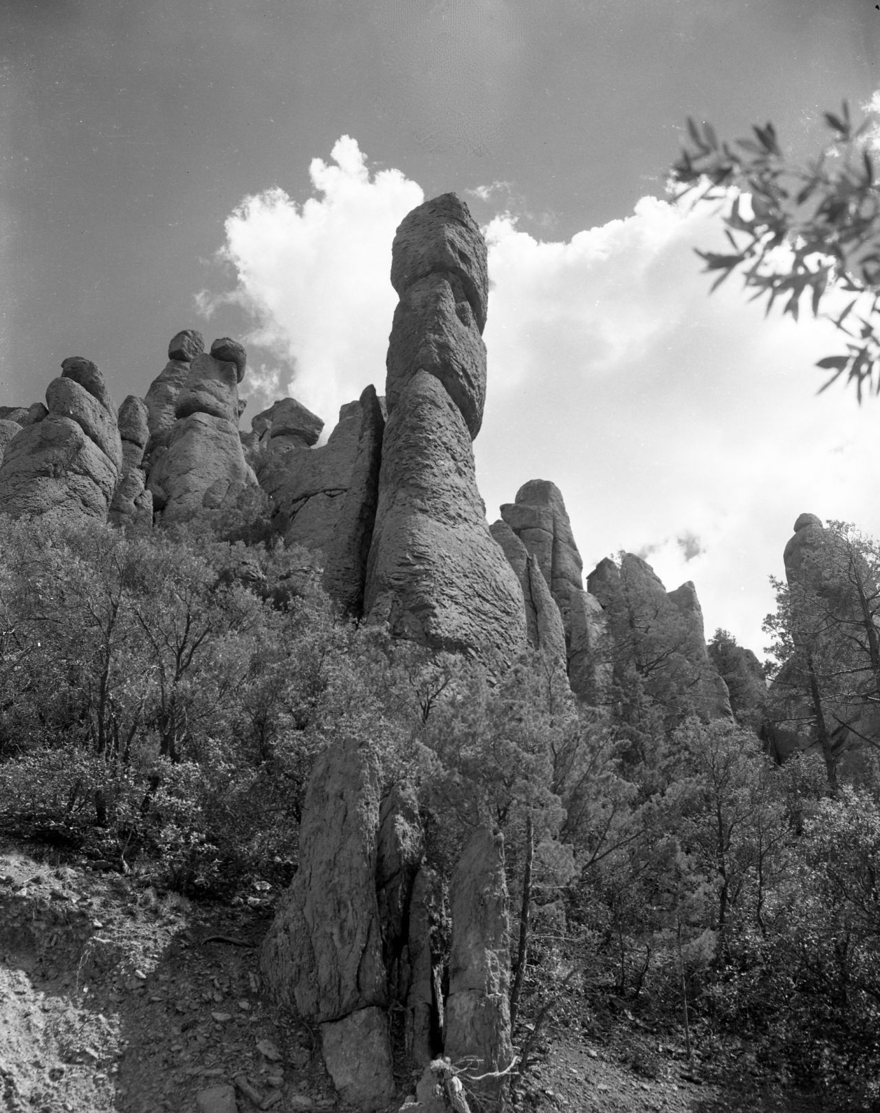 Chiricahua National Monument